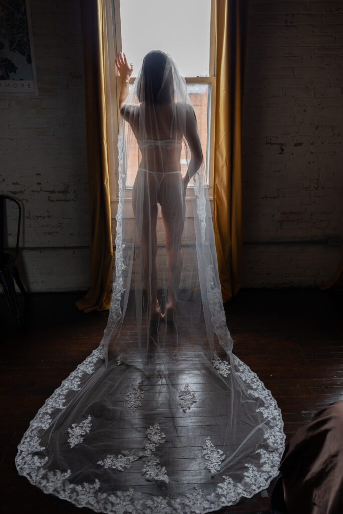 Silhouette of woman in lingerie and a bridal veil